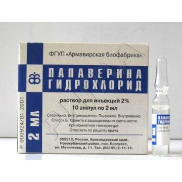 Папаверина г/хл ампулы 2% 2мл №10 ** в аптеке Аптечный склад в городе Чапаевск
