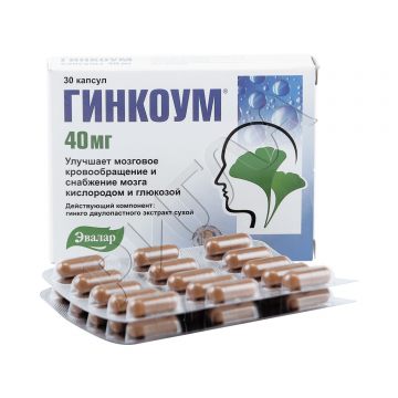 Гинкоум капсулы 40мг №30 в аптеке Аптечный склад в городе Камышин
